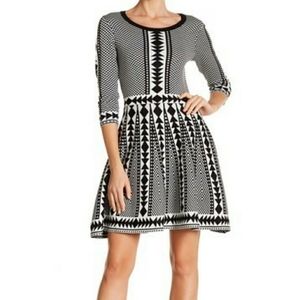 Geometric, Tribal, Fit & Flare, 3/4 slv Knit Dress